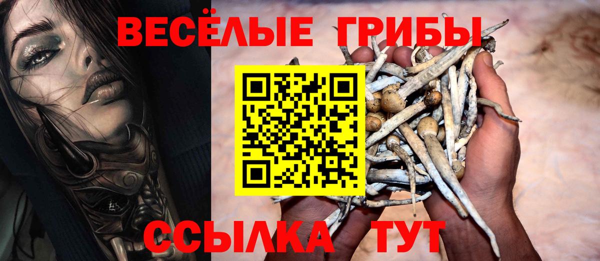 Галлюциногенные грибы Cubensis Отрадное